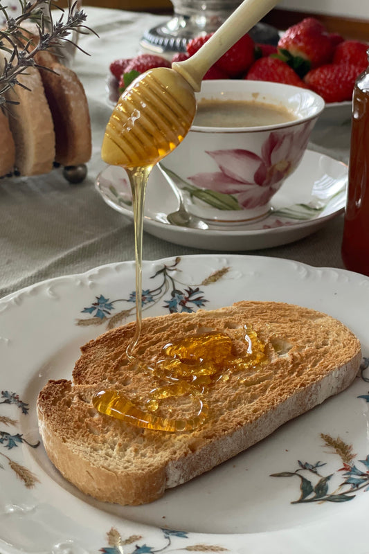 Miel Bellota Ibérica - 500g . Miel gourmet tostada e intensa