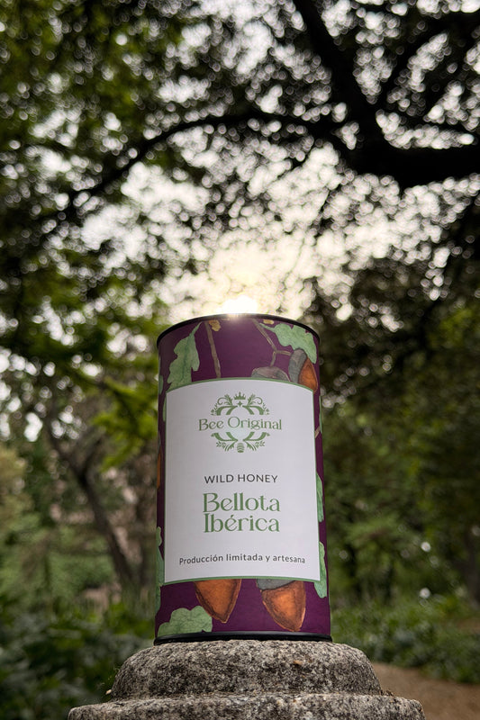 Miel Bellota Ibérica - 500g . Miel gourmet tostada e intensa